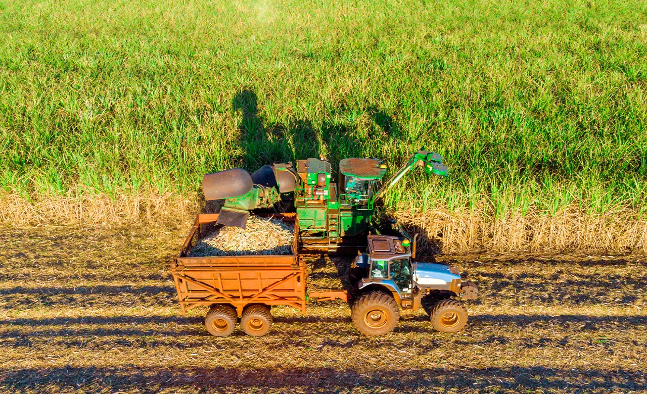 Sugar Cane Process